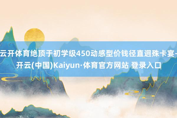 云开体育绝顶于初学级450动感型价钱径直迥殊卡宴-开云(中国)Kaiyun·体育官方网站 登录入口