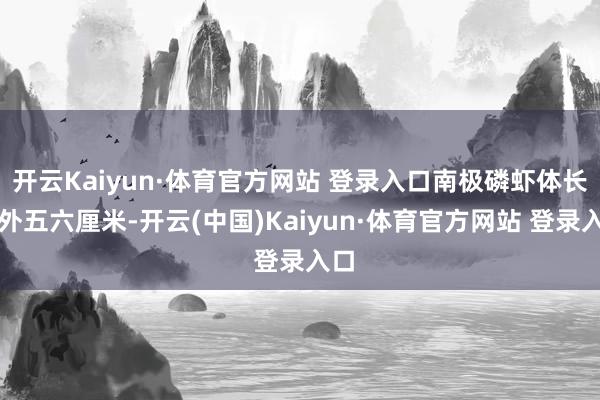 开云Kaiyun·体育官方网站 登录入口南极磷虾体长不外五六厘米-开云(中国)Kaiyun·体育官方网站 登录入口
